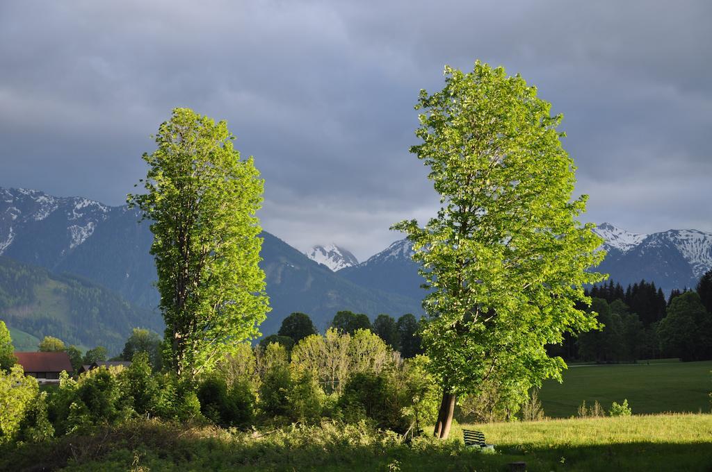 Apartmenthaus Dornröschen Ramsau am Dachstein Exterior foto