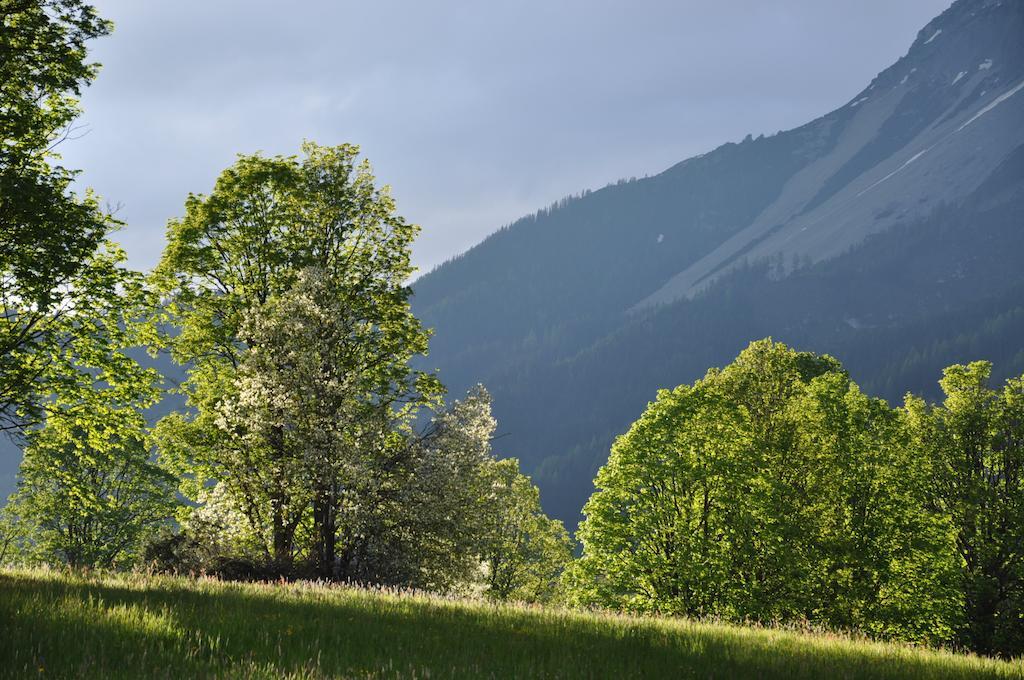 Apartmenthaus Dornröschen Ramsau am Dachstein Exterior foto